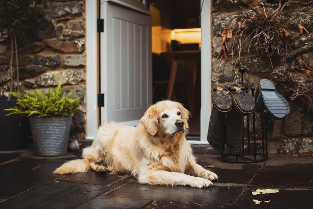 River Cottage, A Luxurious And Cosy Riverside Cottage For Two Welshpool Exterior foto