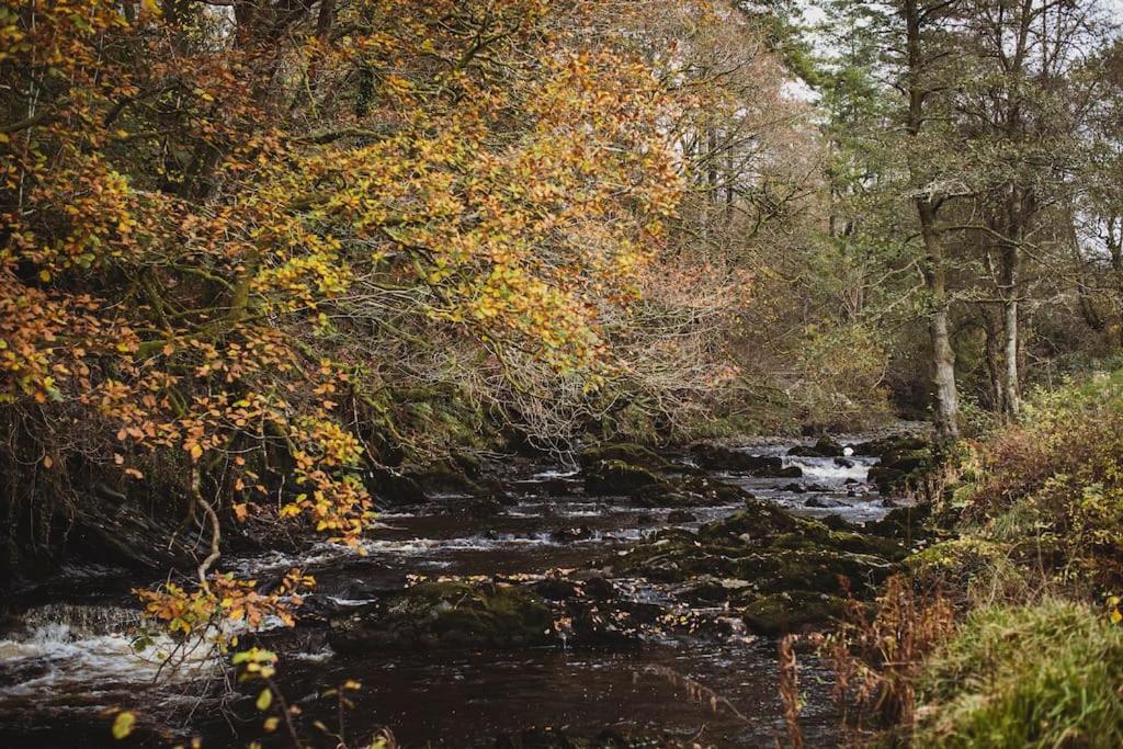 River Cottage, A Luxurious And Cosy Riverside Cottage For Two Welshpool Exterior foto