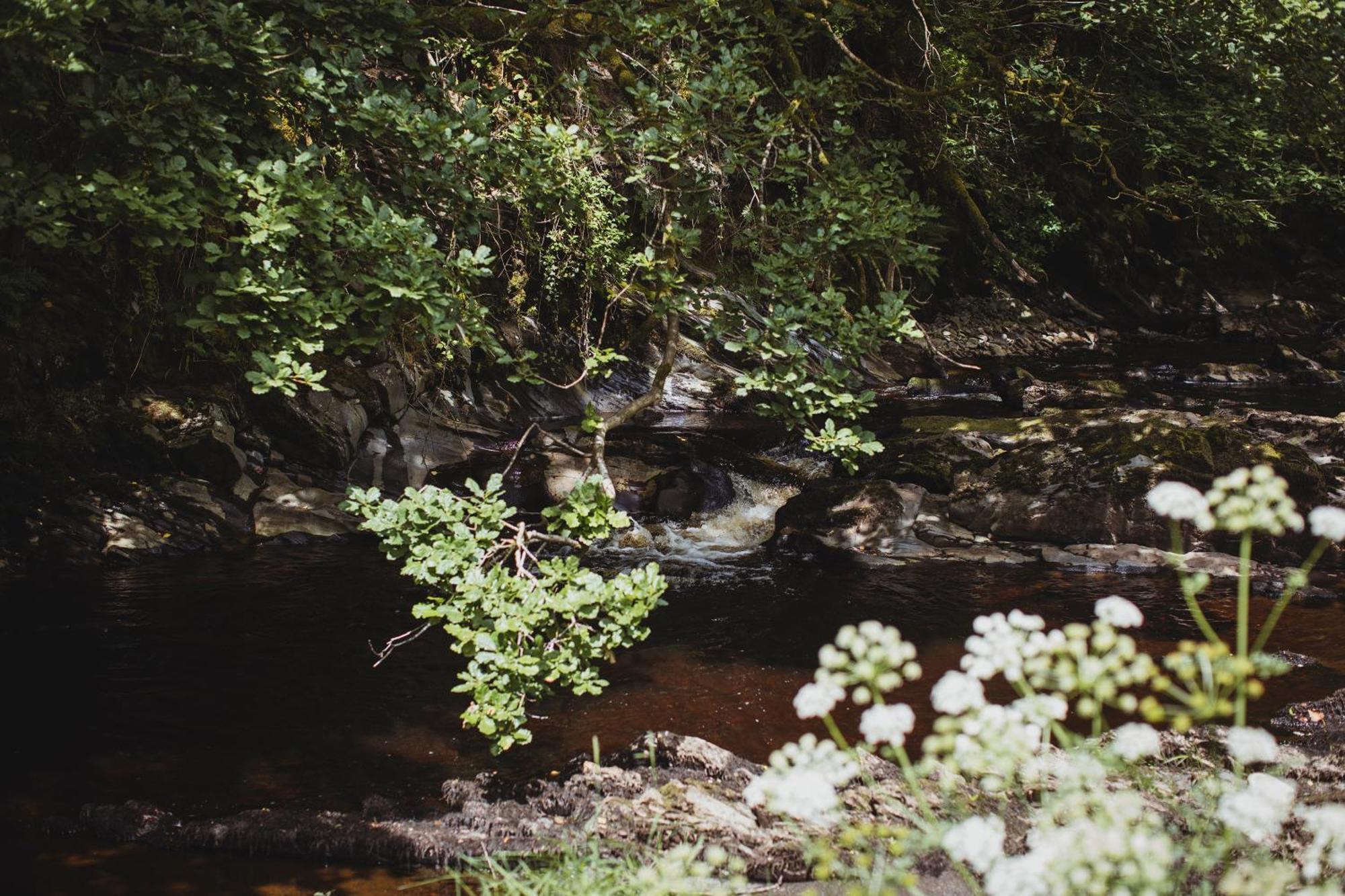 River Cottage, A Luxurious And Cosy Riverside Cottage For Two Welshpool Exterior foto